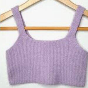 Everlane Wool Lavender Knit Crop Top Medium